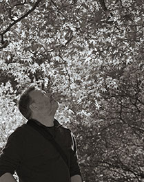 sculpture,wall,lasercut,steel,inspired by nature,Ian Turnock,designer,artist,